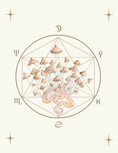 Cargar imagen en el visor de la galería, Psilocybe: Fluir con Sabiduría