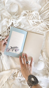 Set cuadernos: Orcas bajo el eclipse