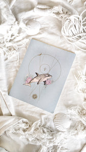 Set cuadernos: Orcas bajo el eclipse