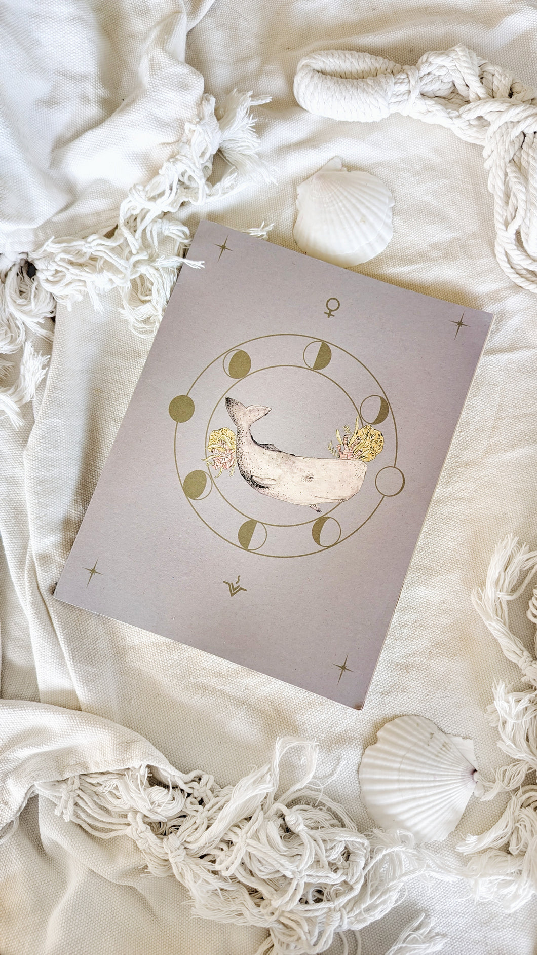 Cuadermo Cachalote y la luna