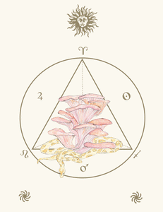 art print snakes and mushrooms with astro elements 