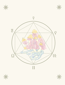 Veil: Crecer con el Viento